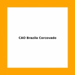 CAO Brazila Corcovado