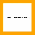 Romeo y Julieta Mille Fleurs